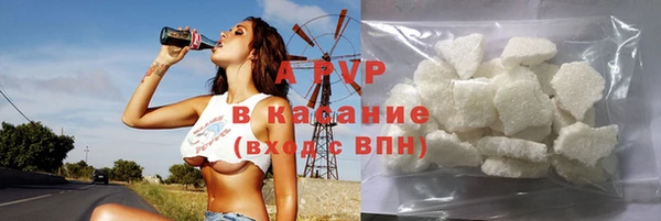 СК Богородицк