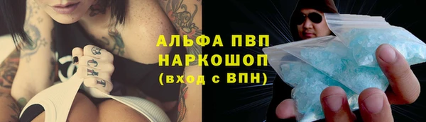СК Богородицк