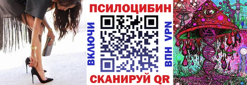 Галлюциногенные грибы Psilocybe  ссылка на мегу вход  Дальнегорск 